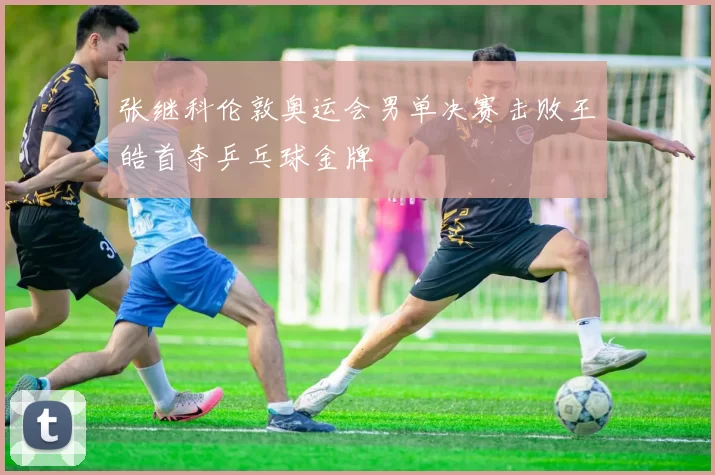 张继科伦敦奥运会男单决赛击败王皓首夺乒乓球金牌