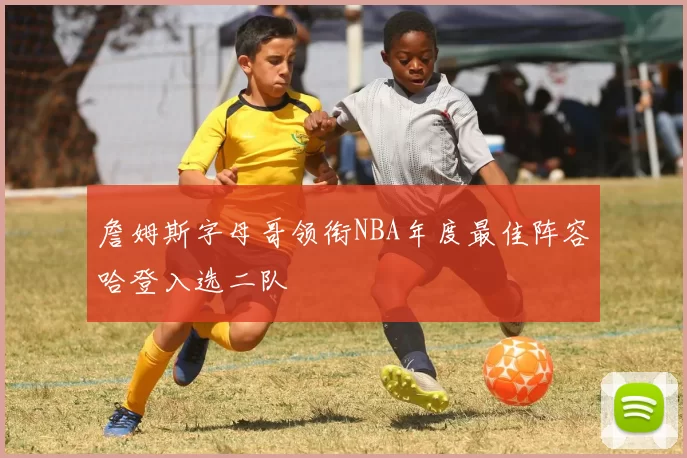 詹姆斯字母哥领衔NBA年度最佳阵容哈登入选二队