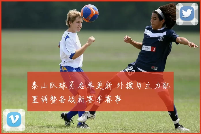 泰山队球员名单更新 外援与主力配置调整备战新赛季赛事