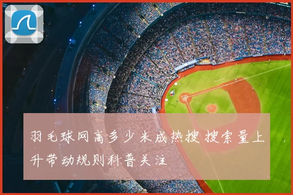 羽毛球网高多少米成热搜 搜索量上升带动规则科普关注