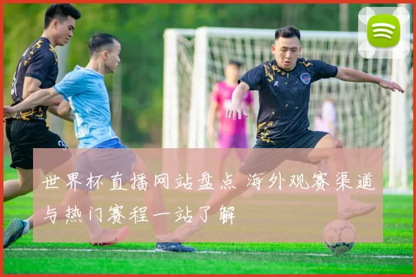 世界杯直播网站盘点 海外观赛渠道与热门赛程一站了解